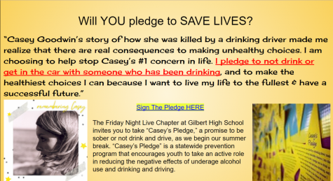 Pledge to Save Lives