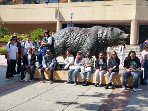 UCLA Is A Trip