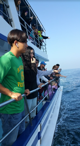 Whale Watching Field Trip May 5th