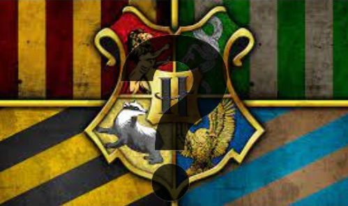 Hogwarts Houses? Whats That?