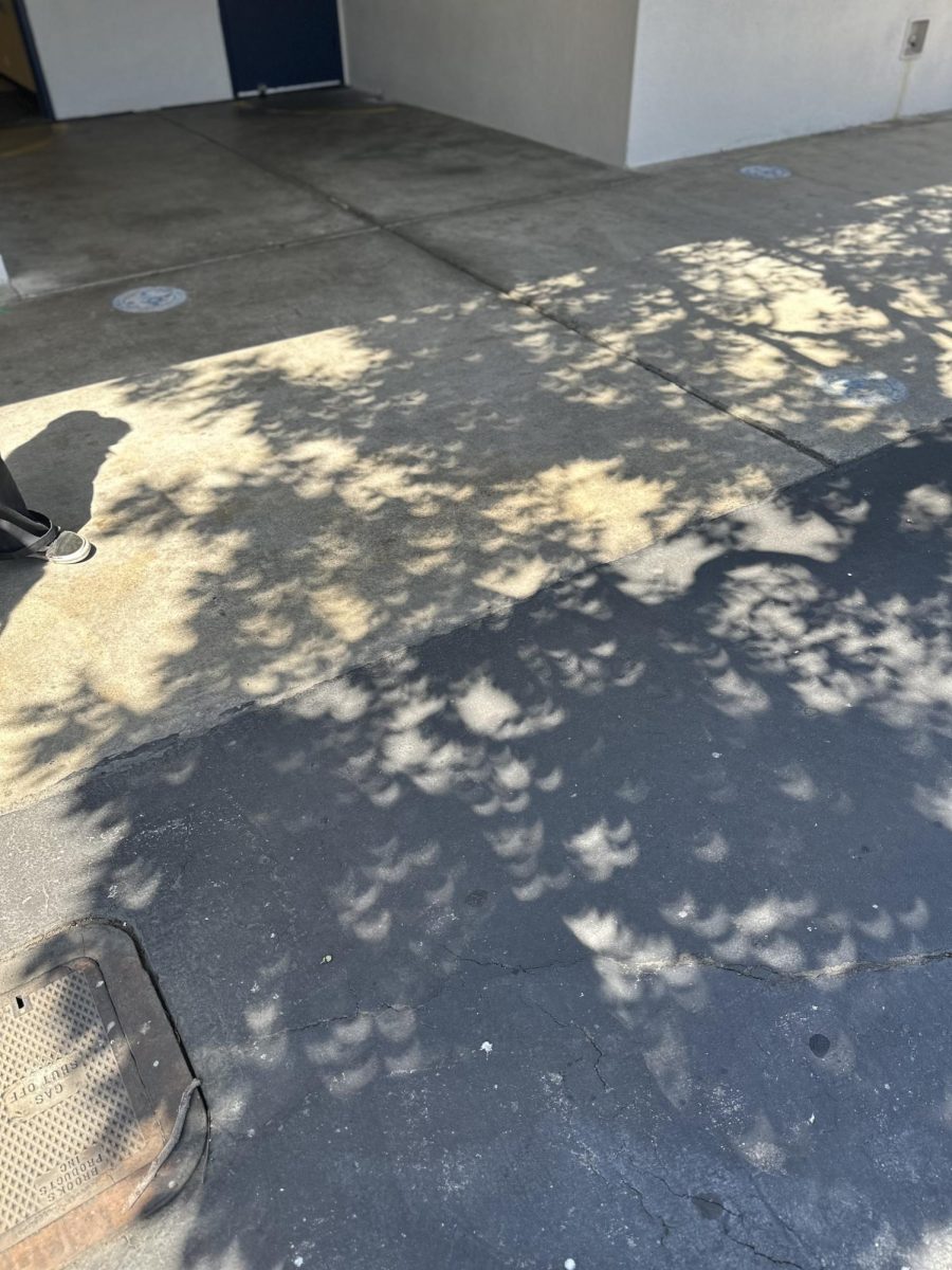 If you look closely, you will see many spectacular mini partial eclipses in the shadows of the leaves of the tree outside Rooms 35 and 11.  