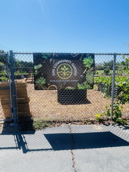 Gilbert Community Garden