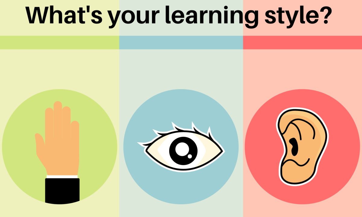 Different Learning Styles and How They Affect a Student