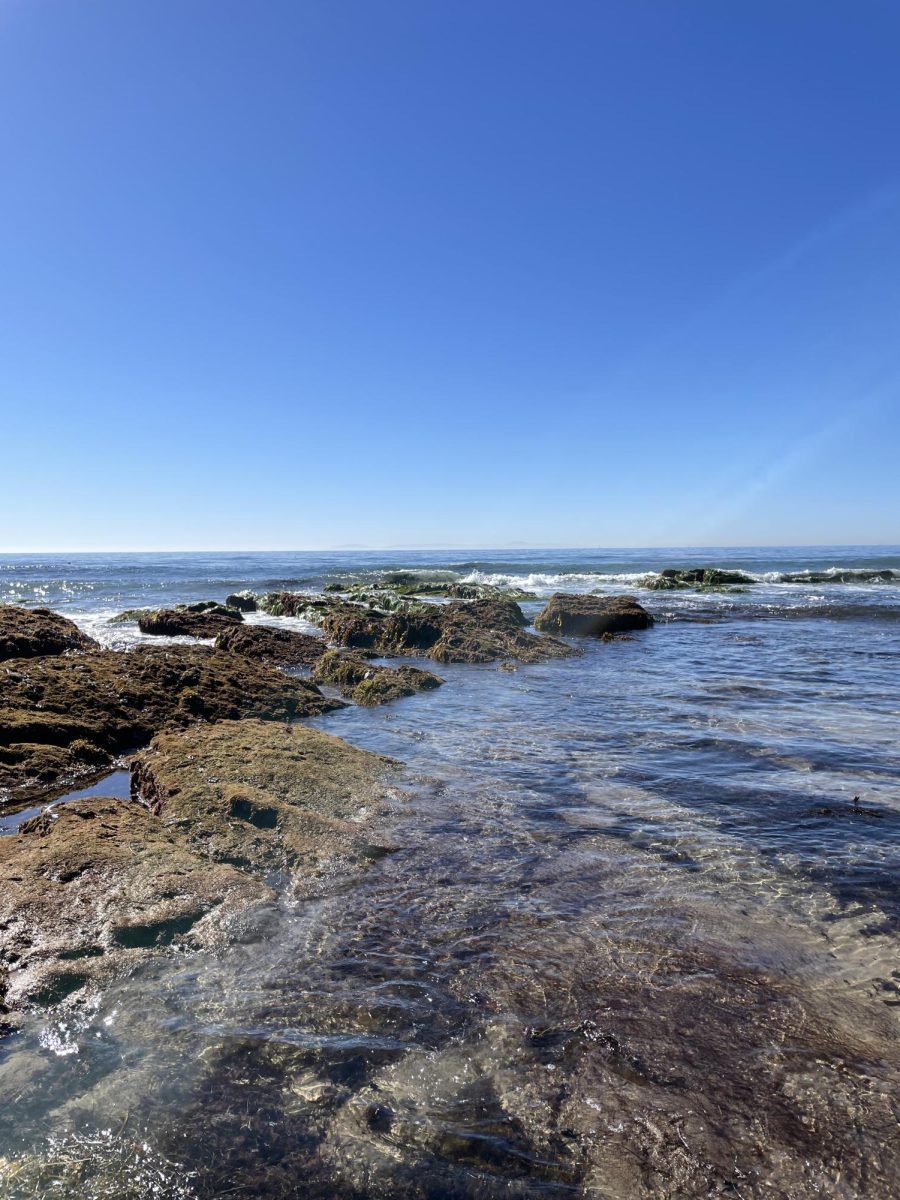 Gilbert Students Explore Tide Pools at Crystal Cove