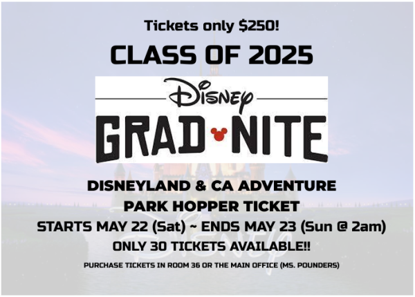 Disney Gradnite