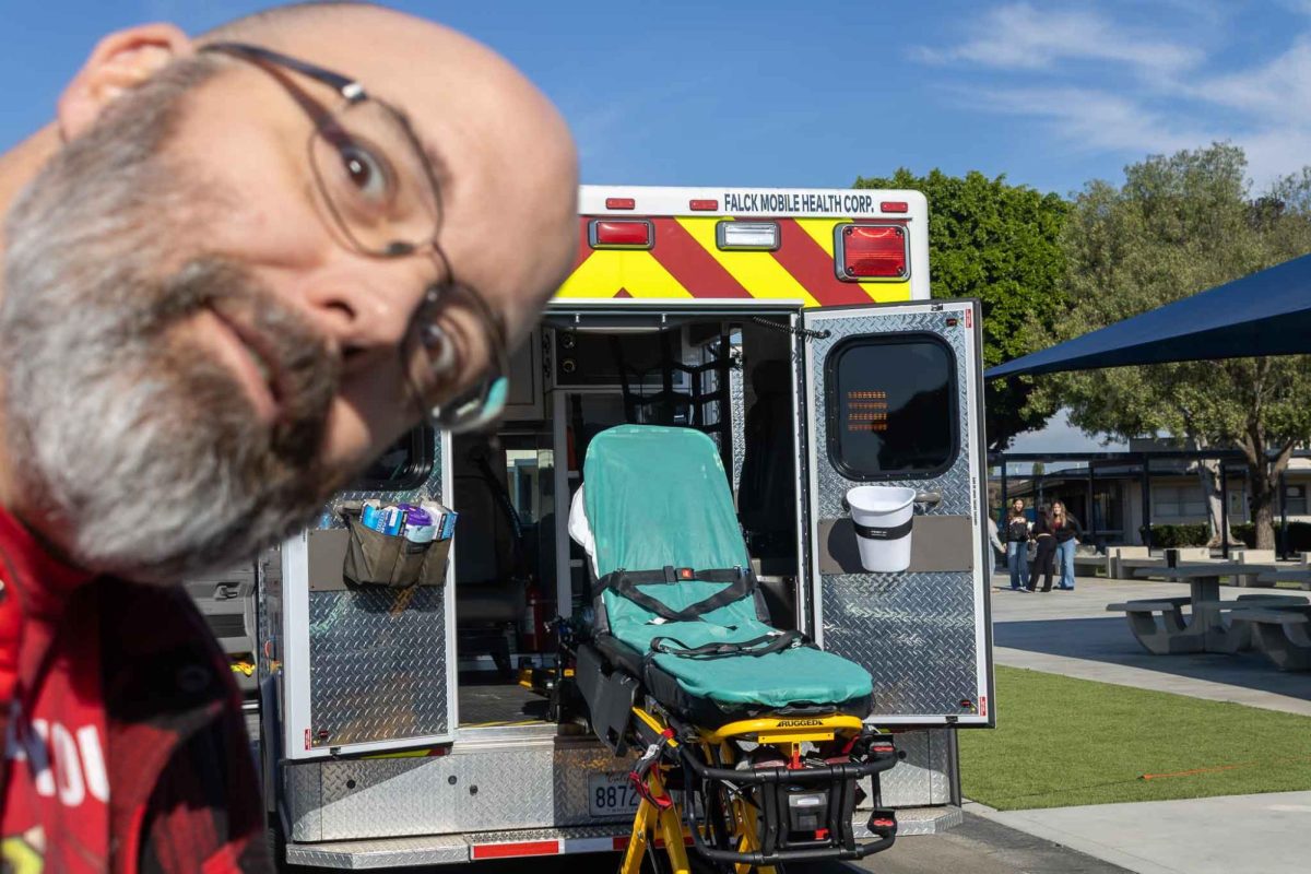 Local turtle carried away by EMT!