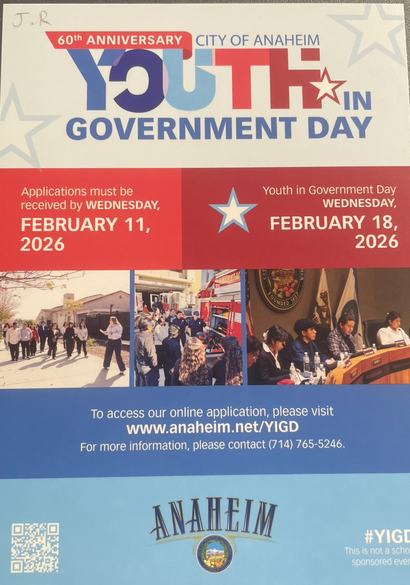 Youth and Goverment flyer